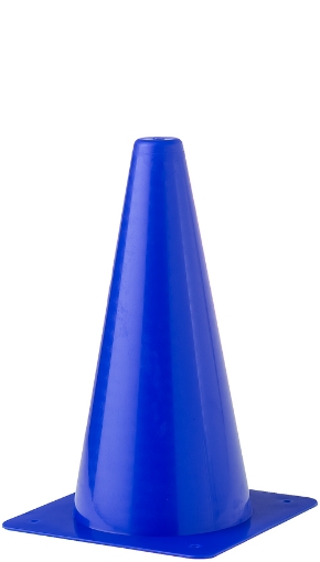 Afbeeldingen van Plastic Trainingskegel 30cm - Blauw - Teamsport